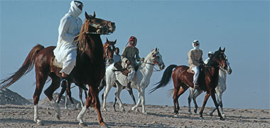 Qatari horsemen in the desert, February 1973