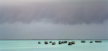 The Khor fishing fleet sitting out in the khor