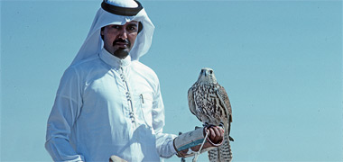 A falcon with its owner
