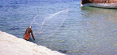 Casting a net from al-Salata