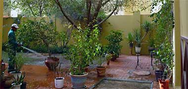 Watering the plants in a private garden