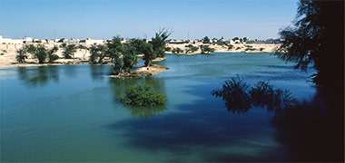 The reservoir of Umm Salal Muhammad