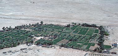 Aerial view of a young farm, March 1976